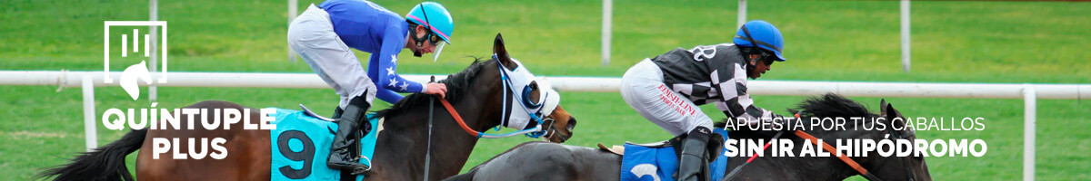    Imagen 4 para promocionar la tienda Loteries-atrapasomnis