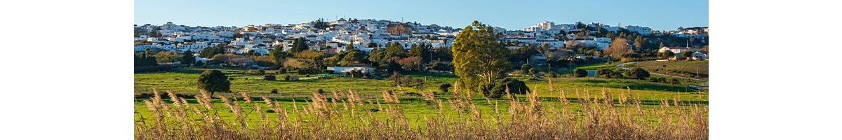    Imagen 2 para promocionar la tienda Loterías Benalup