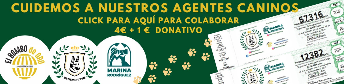  Ir a https://loteriabombodeoro.es/participaciones,   Imagen 1 para promocionar la tienda EL BOMBO DE ORO