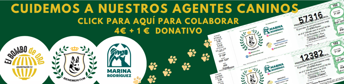 Ir a https://loteriabombodeoro.es/participaciones,  Imagen 1 para promocinar la tienda EL BOMBO DE ORO